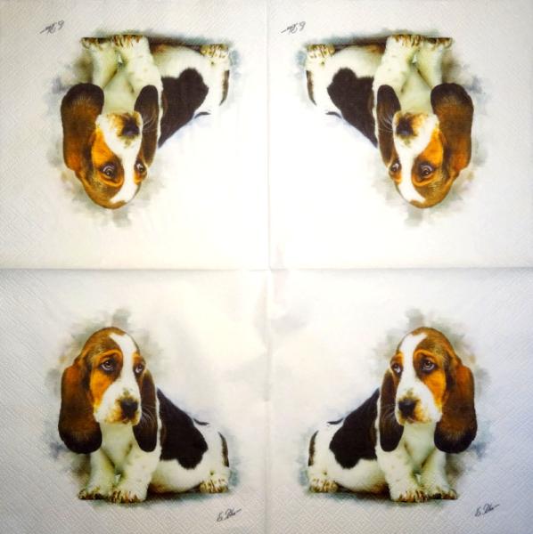 HUN-1503 Hunde - 3-lagig - Specials